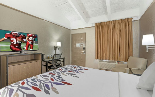 photo 4 of Red Roof Inn Tampa Bay - St Petersburg