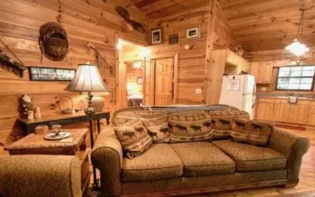 photo 3 of Laughing Hippo Cabin