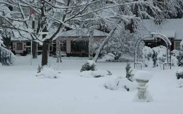 photo 5 of Lazy Cloud Bed and Breakfast