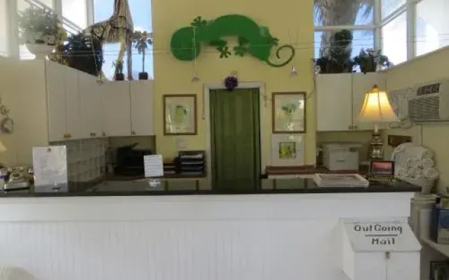 photo 2 of Lemon Tree Inn