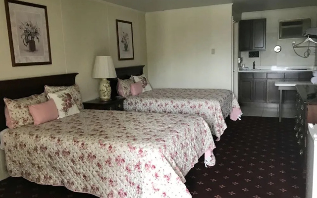 photo 4 of Leola Inn and Suites