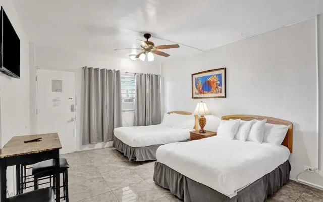 photo 2 of Lovely Hallandale Beach Studio
