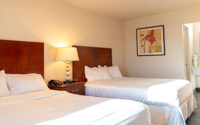 photo 5 of Magnuson Extended Stay and Suites Airport Hotel