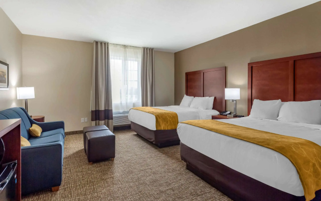 photo 4 of Comfort Suites Clarksville near Governors Square Mall