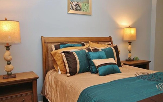 photo 3 of Malibu 803 Apartment 3
