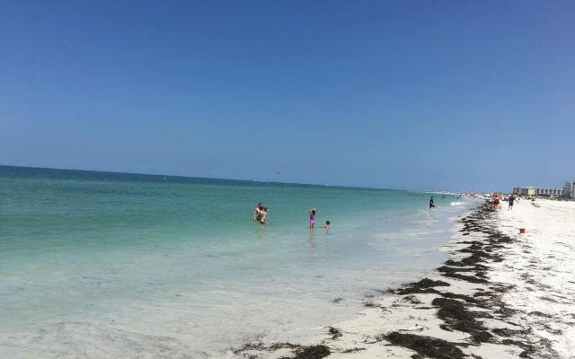 photo 4 of Mariner Beach Club