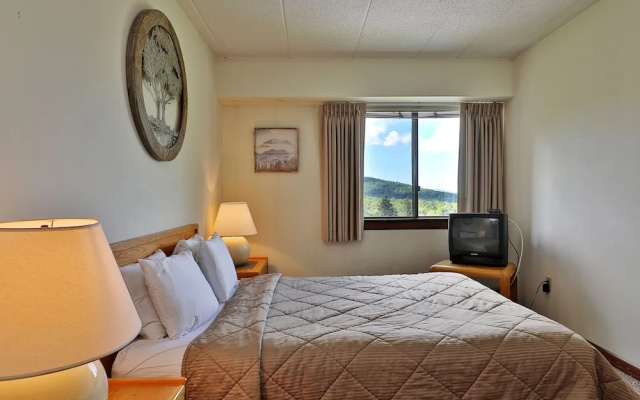 photo 3 of MG 2D09 - 1BR/1BA Condo at Mountain Green Resort Killington