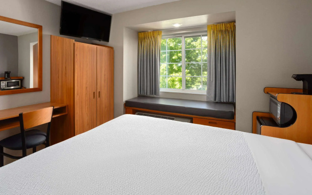 photo 3 of Microtel Inn & Suites by Wyndham Ann Arbor