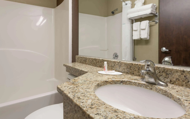 photo 4 of Microtel Inn & Suites by Wyndham Jacksonville Airport