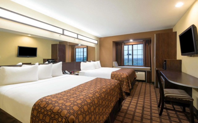 photo 3 of Microtel Inn & Suites By Wyndham San Antonio By Seaworld