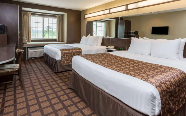 photo 5 of Microtel Inn & Suites by Wyndham Jacksonville Airport