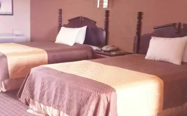 photo 3 of Economy Hotel San Antonio