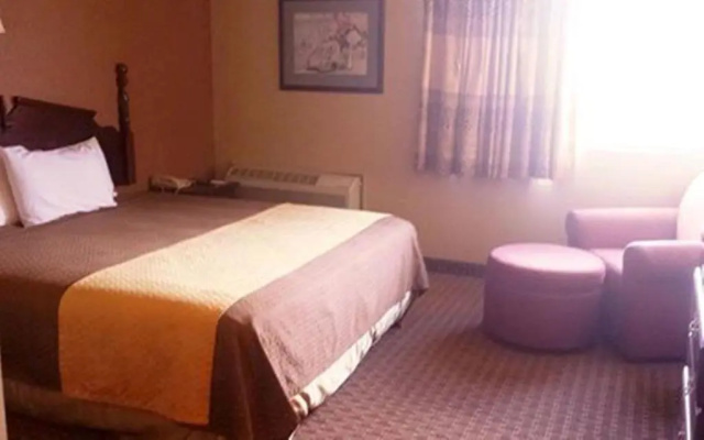photo 5 of Economy Hotel San Antonio