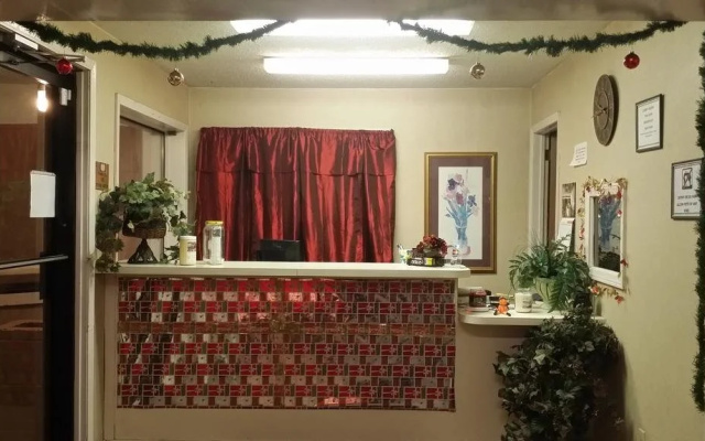 photo 2 of Maple Tree Inn