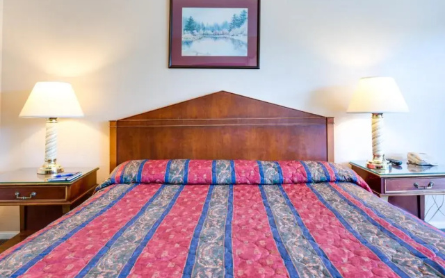 photo 5 of Motel Moonlight
