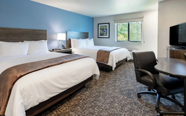 photo 4 of My Place Hotel-Bentonville Rogers AR