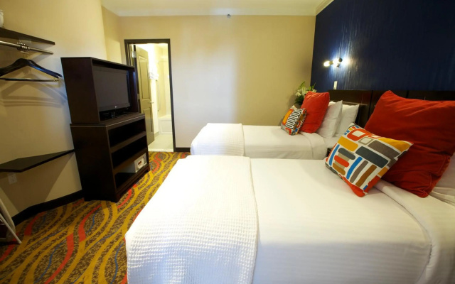 photo 5 of Nesva Hotel