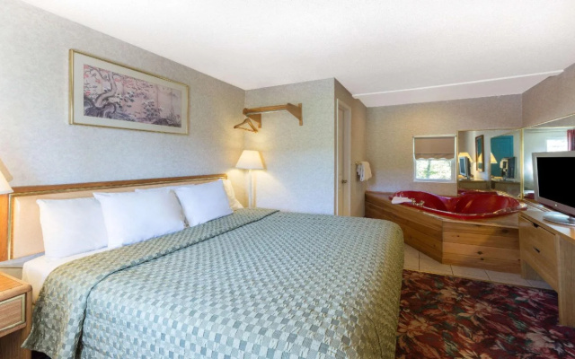 photo 3 of Night Lodge