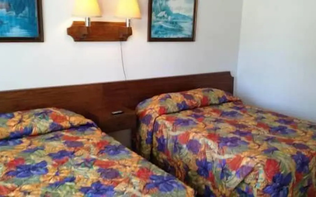 photo 4 of Nocturne Motel