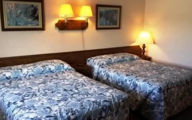 photo 5 of Nocturne Motel