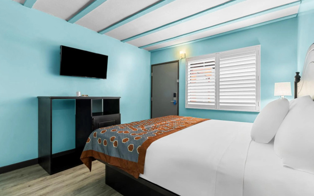 photo 2 of NOHO Hotel
