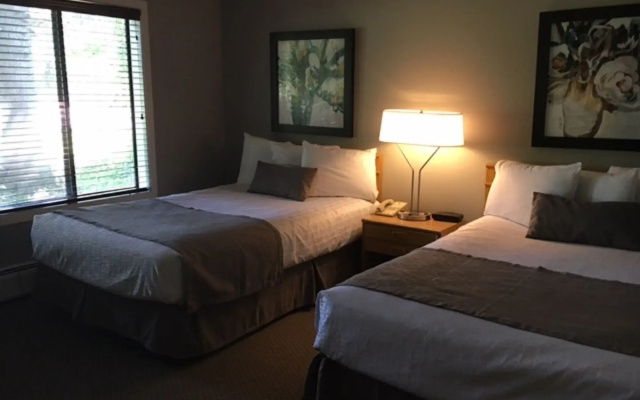photo 3 of North Star Lodge and Resort