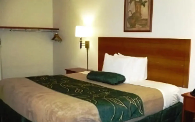 photo 4 of Value Inn - Livonia