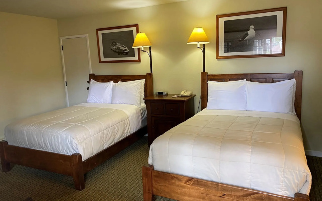 photo 2 of Olympia Lodge