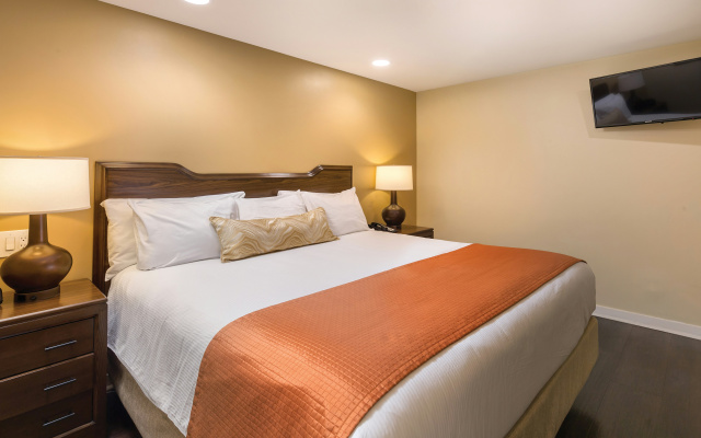 photo 2 of Orange Tree Resort