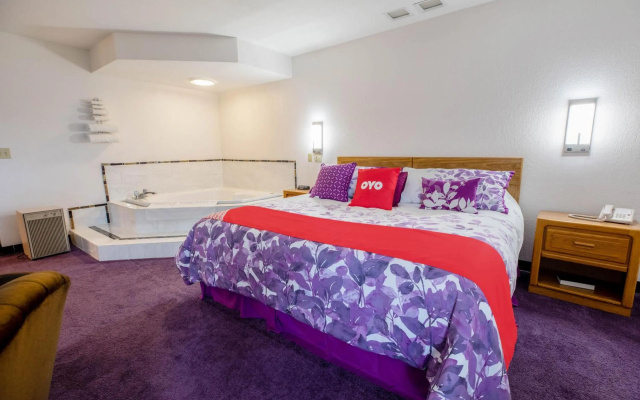 photo 3 of OYO Hotel Chesaning Route 52 & Hwy 57