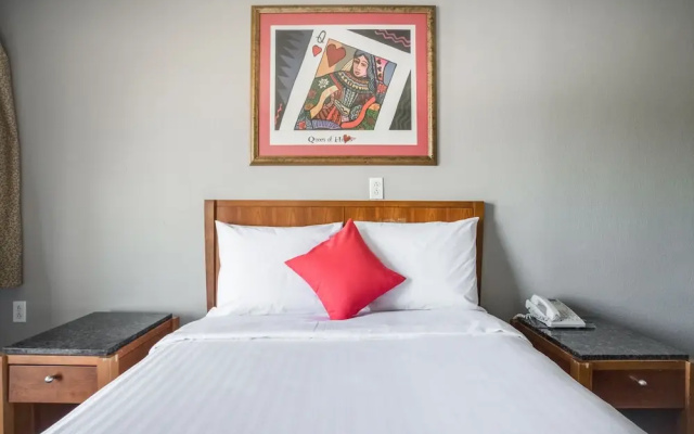 photo 3 of OYO Inn Dallas South