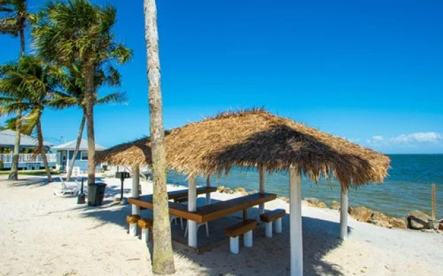 photo 4 of Oyster Pointe & Oyster Bay Resort