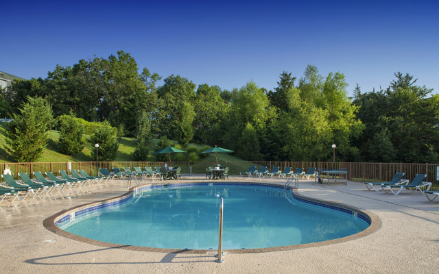 photo 2 of Palace View Resort by Spinnaker Resorts