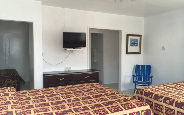 photo 5 of Palm Motel