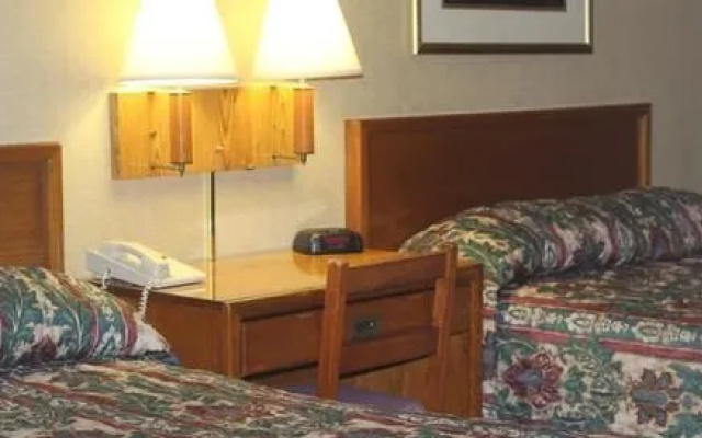 photo 2 of Palmetto Inn Florence