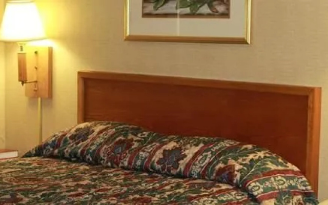 photo 4 of Palmetto Inn Florence