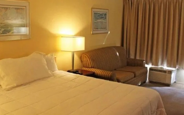 photo 4 of Palms Inn