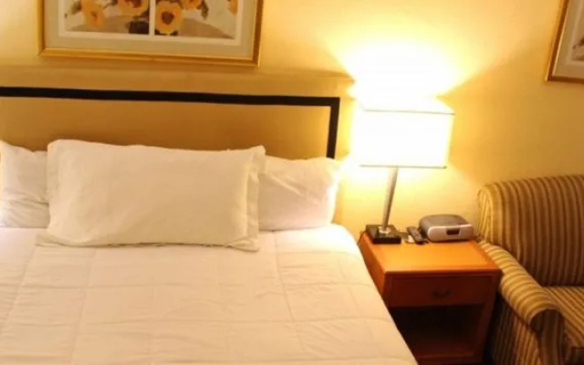 photo 5 of Palms Inn