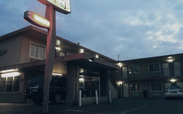photo 2 of Palms Motel