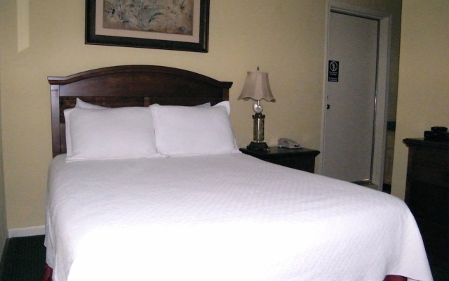 photo 4 of Palmera Inn and Suites