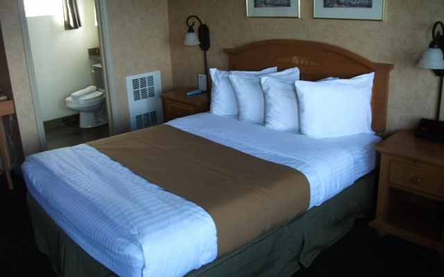 photo 4 of Pepper Tree Inn