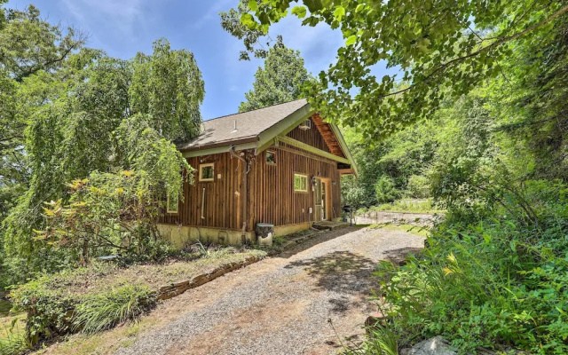 photo 5 of Pet-friendly Leicester/asheville Mtn View Escape