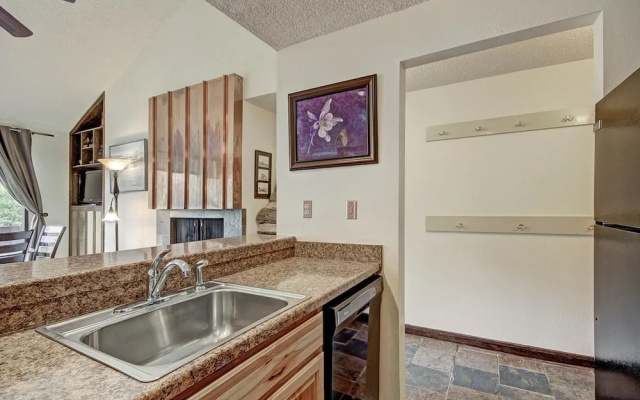 photo 3 of Pet-Friendly Ski in Ski out Condo 30 Second Walk to Lift  - SF204 by RedAwning