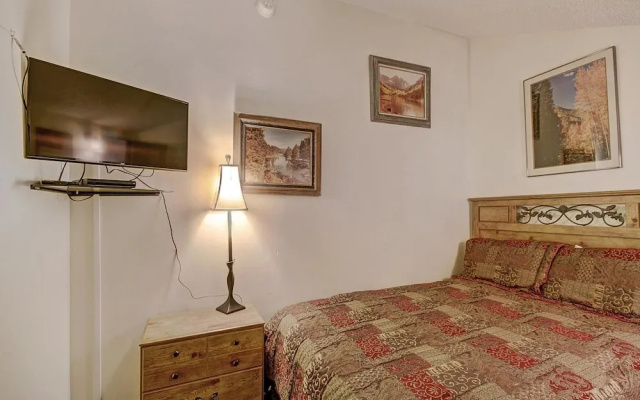 photo 4 of Pet-Friendly Ski in Ski out Condo 30 Second Walk to Lift  - SF204 by RedAwning