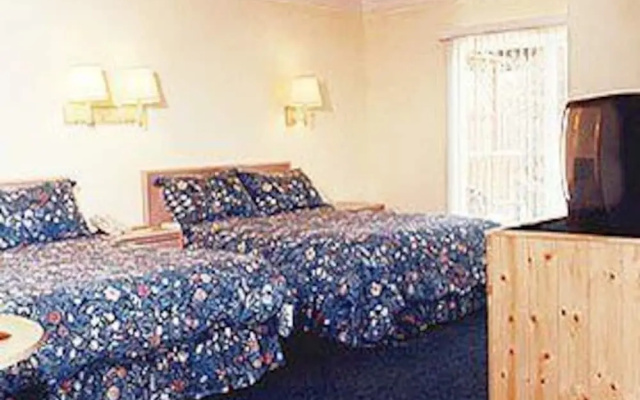 photo 4 of Pine Beach Inn