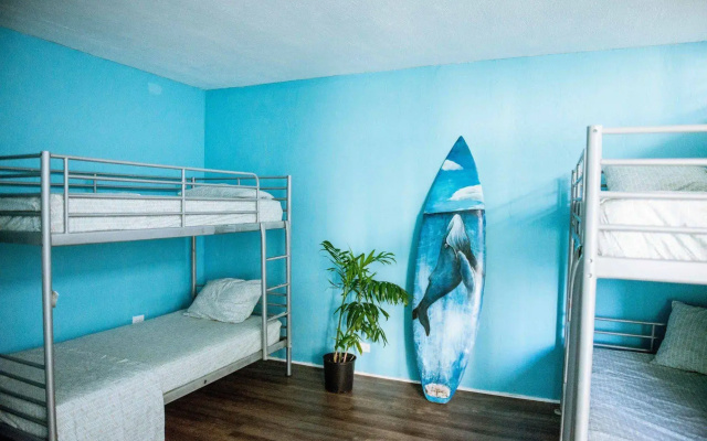 photo 3 of Polynesian Beach Club Hostel