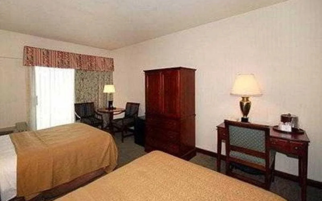 photo 2 of Quality Hotel & Suites Central