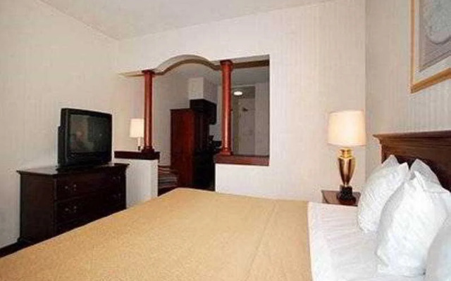 photo 5 of Quality Hotel & Suites Central