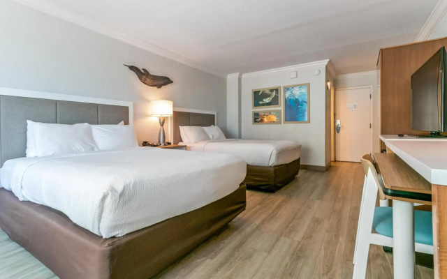 photo 4 of Dolphin Sands Clearwater Beach, an Ascend Collection Hotel