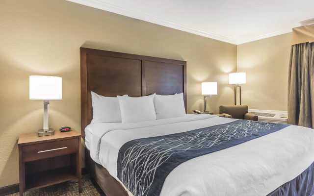 photo 3 of Comfort Inn Sunnyvale - Silicon Valley